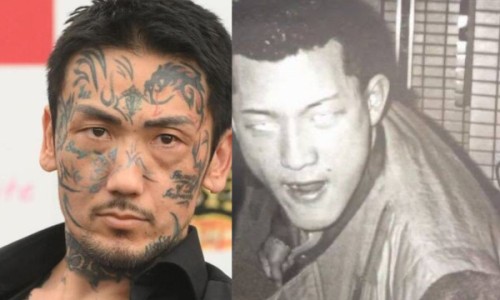 满园春雨梅花红指计么生肖-满园梅挂霜的功效网- 满园春色尽梅花知识,分享满园花图片