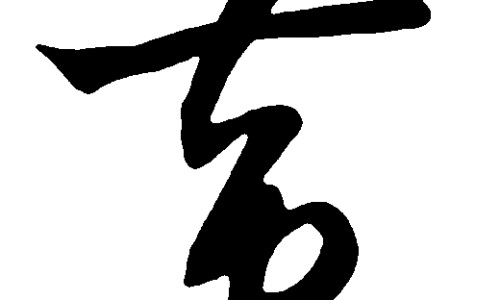 满园梅挂霜的功效网- 满园春色尽梅花知识,分享满园花图片