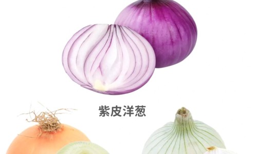 满园梅挂霜的功效网- 满园春色尽梅花知识,分享满园花图片